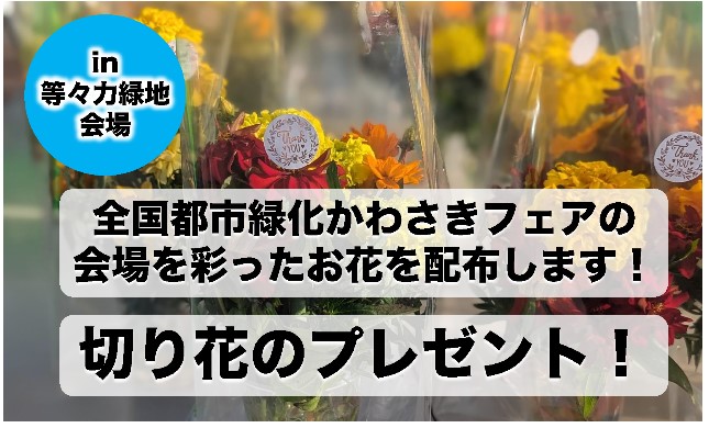 【等々力緑地会場】（整理券配布は終了しました！）全国都市緑化かわさきフェアの会場を彩ったお花を配布します！