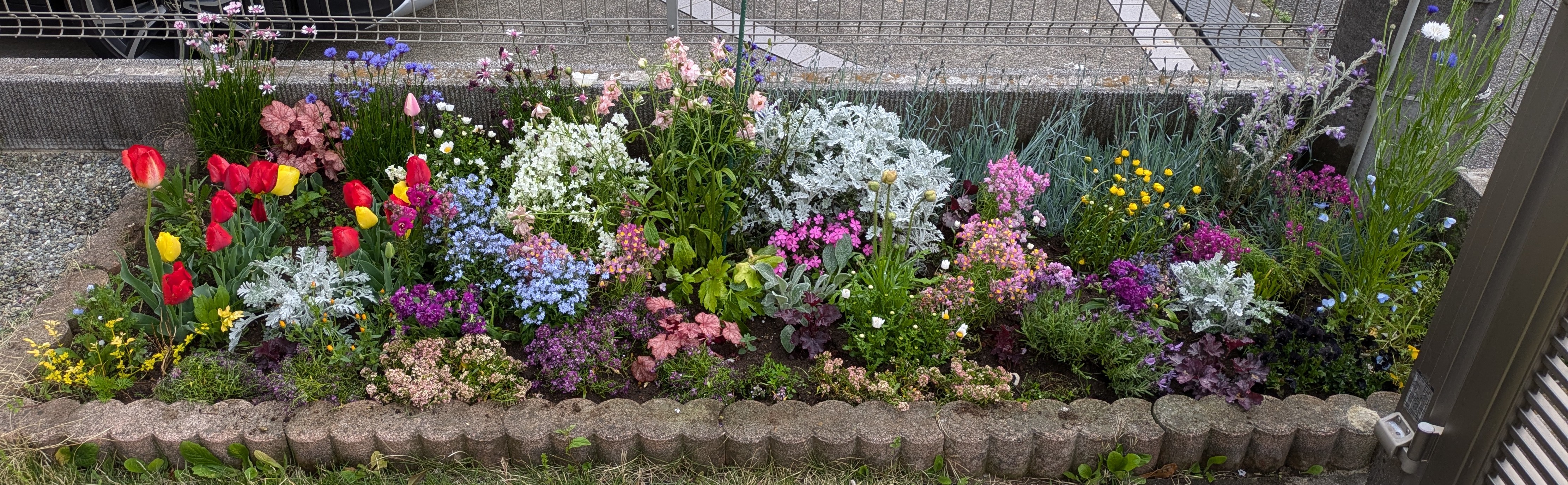 等々力会場のお花たち