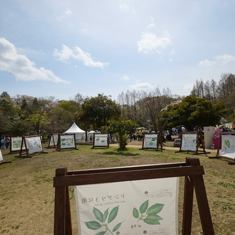 川崎市市制100周年記念事業・全国都市緑化かわさきフェア 2024.10